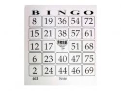 TALAO DE BINGO FREE 11X13.7CM 1200CT P/BINGO 001 A 100